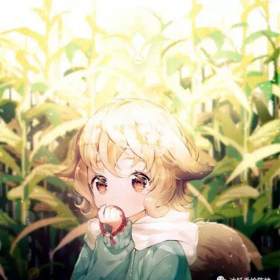其他省份晾衣服 内蒙朋友搭蒙古包